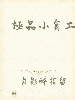 极品小员工