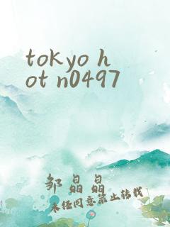 tokyo hot n0497
