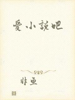 爱小说吧