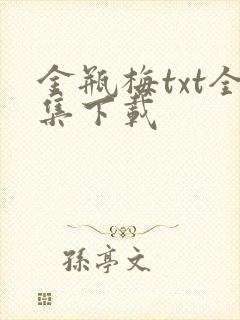 金瓶梅txt全集下载