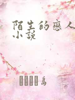 陌生的恋人原著小说