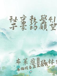 秘密教学41话子豪的愿望是