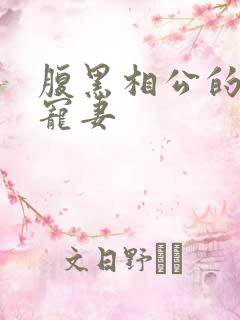 腹黑相公的庶女宠妻