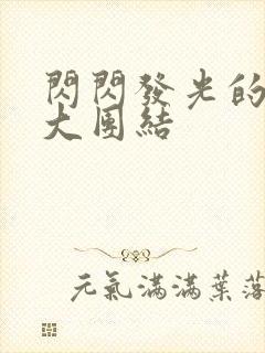 闪闪发光的小说大团结