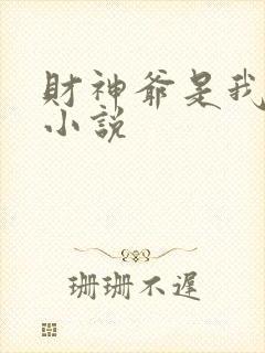 财神爷是我老板小说