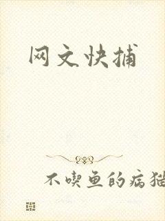 网文快捕