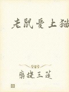 老鼠爱上猫下载