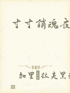 寸寸销魂夜春光