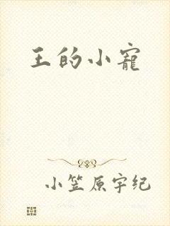王的小宠