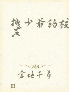 拽少爷的校花女友