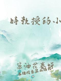 时教授的小可爱