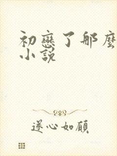 初恋了那么多年小说