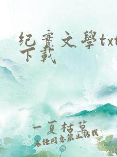 纪实文学txt下载