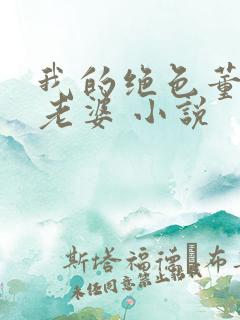 我的绝色董事长老婆 小说