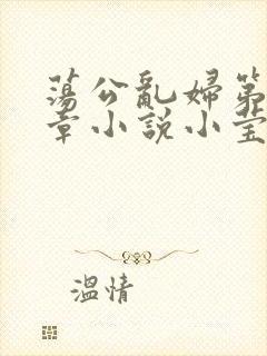荡公乱妇第51章小说小莹
