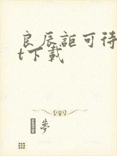 良辰讵可待txt下载