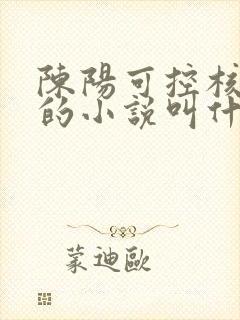 陈阳可控核聚变的小说叫什么名字