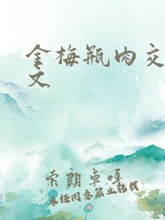 金梅瓶肉交白话文