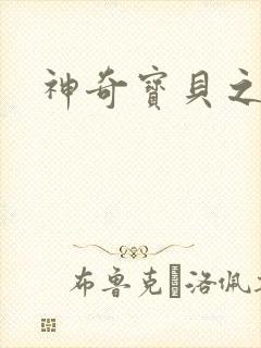 神奇宝贝之一辉