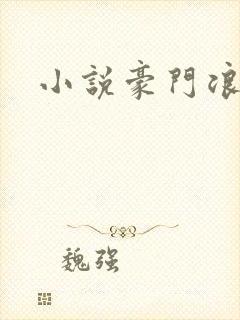 小说豪门浪荡史