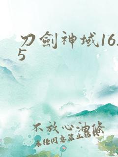 刀剑神域16.5