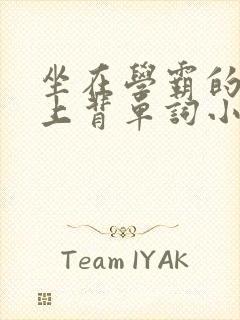 坐在学霸的棍子上背单词小说