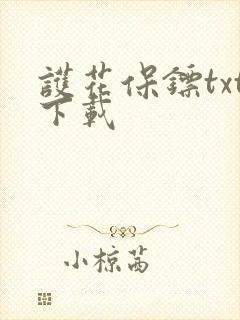 护花保镖txt下载