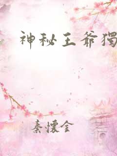 神秘王爷独宠妃