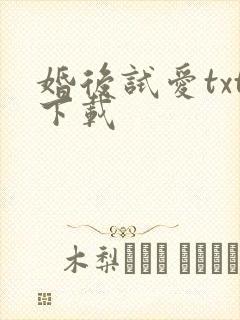 婚后试爱txt下载