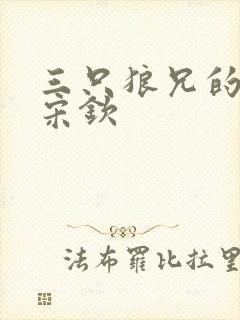 三只狼兄的宠妻宋钦