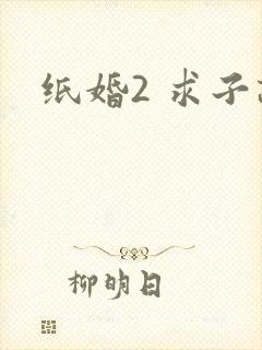 纸婚2 求子记