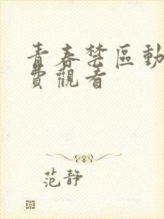 青春禁区动漫免费观看