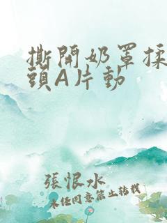 撕开奶罩揉吮奶头A片动