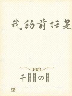 我的前任是极品