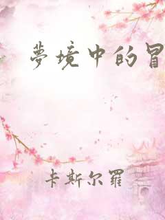 梦境中的冒险家