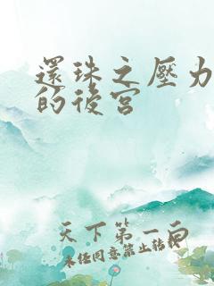 还珠之压力山大的后宫