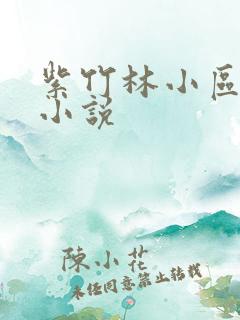 紫竹林小区快递小说