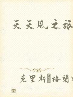 天天风之旅辅助