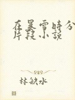 在暴雪时分高能片段小说