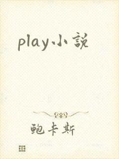 play小说