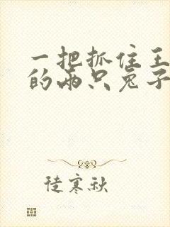 一把抓住王昭君的两只兔子