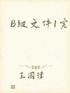 B级文件1完整