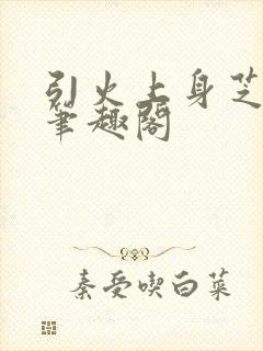 引火上身芝麻糖笔趣阁