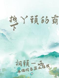 拽丫头的霸道殿下