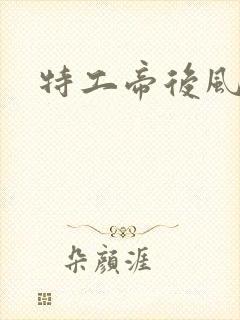 特工帝后风九少