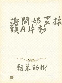 撕开奶罩揉吮奶头A片动