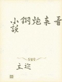 小钢炮来看我小说