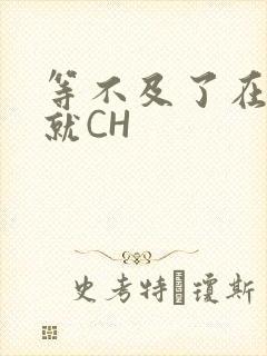 等不及了在车里就CH