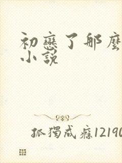 初恋了那么多年小说