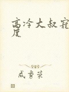 高冷大叔宠妻无度